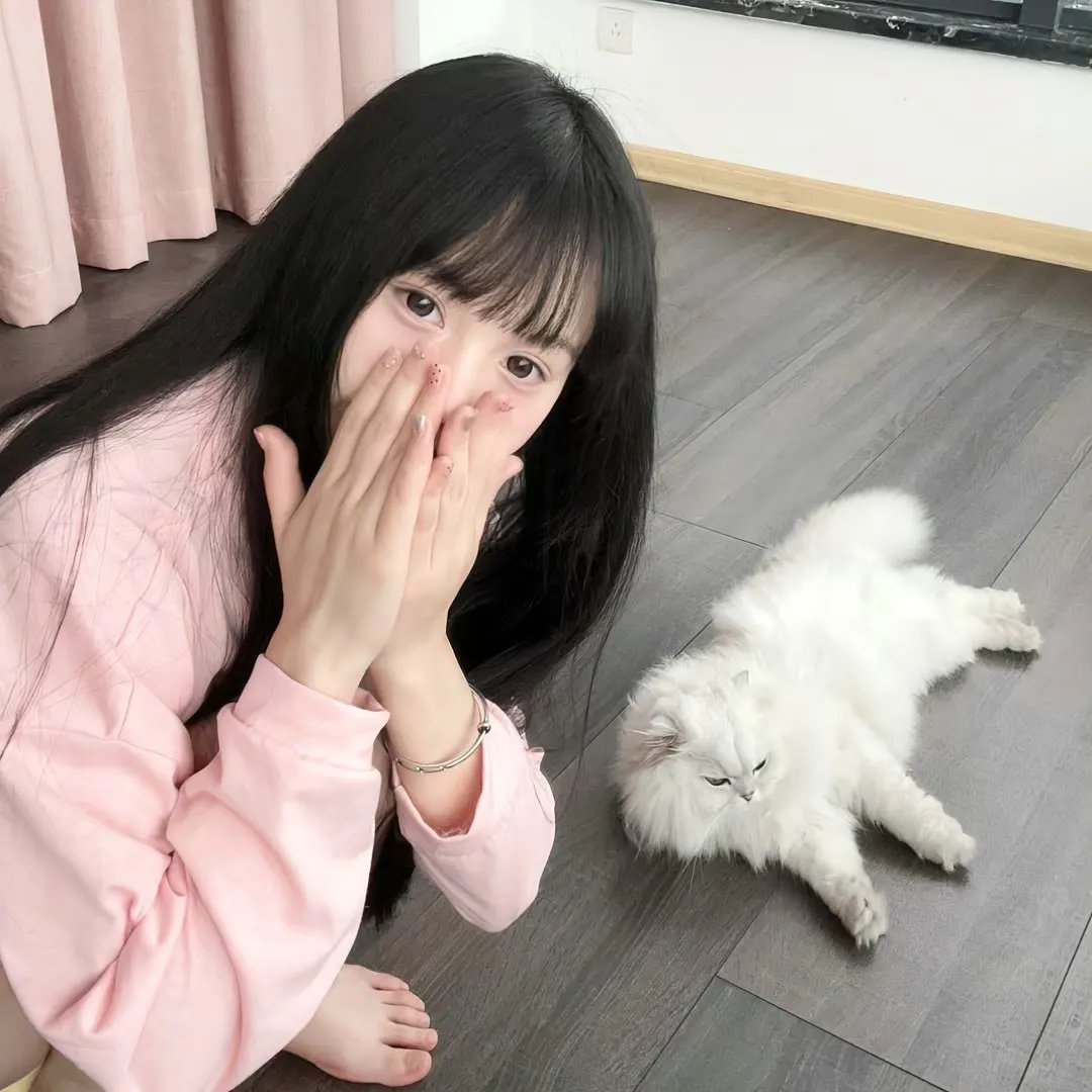 苏里南 毒枭圣徒